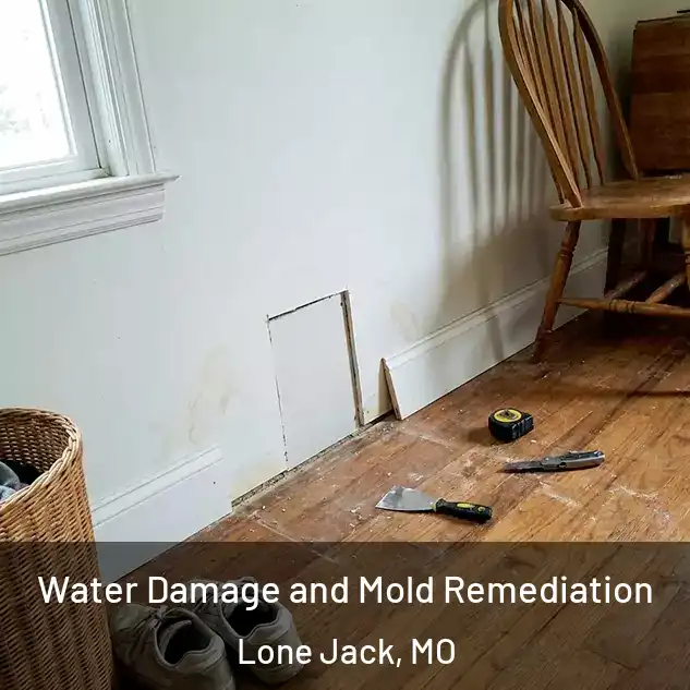  Water Damage and Mold Remediation Lone Jack, MO